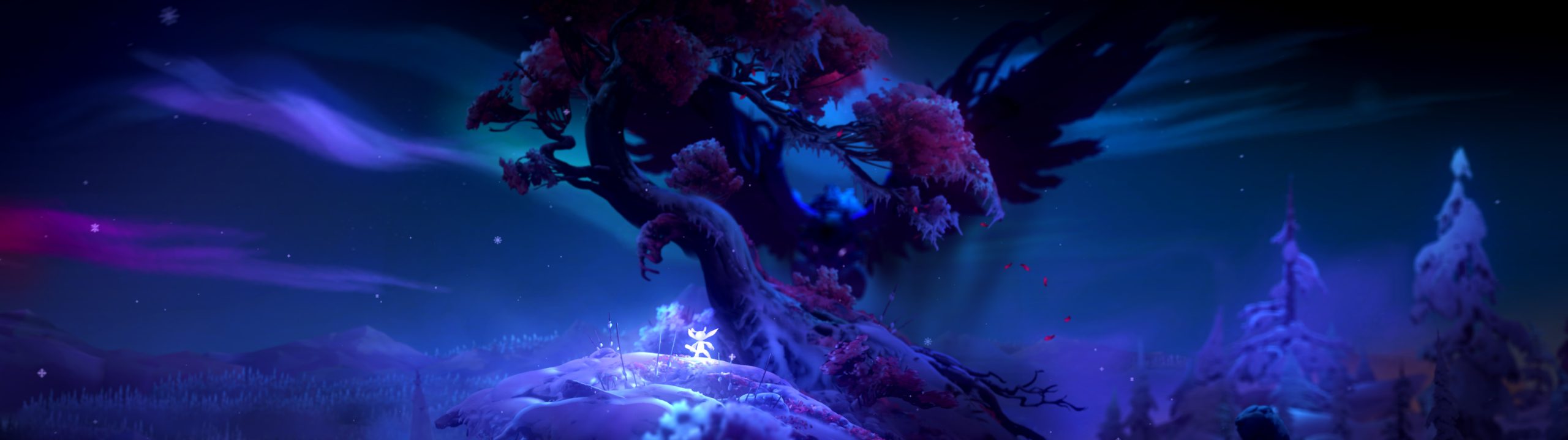Ori and the Will of the Wisps Will be Optimized for Xbox Series X