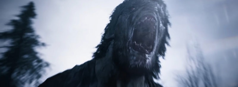 Resident Evil 8 Will Introduce A lot of Side Characters