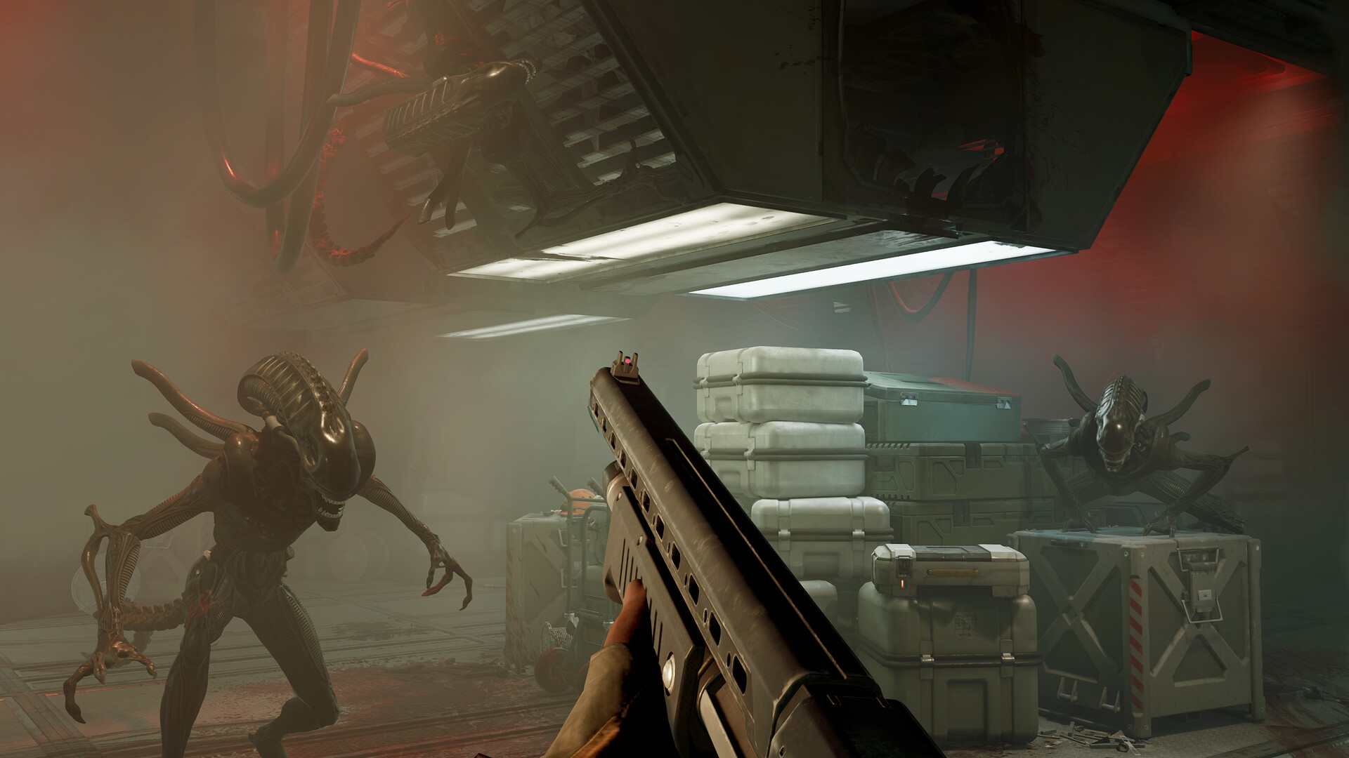 Alien: Rogue Incursion Evolved Edition – Everything You Need to Know About the Game That Will Terrify Us 👽🔥