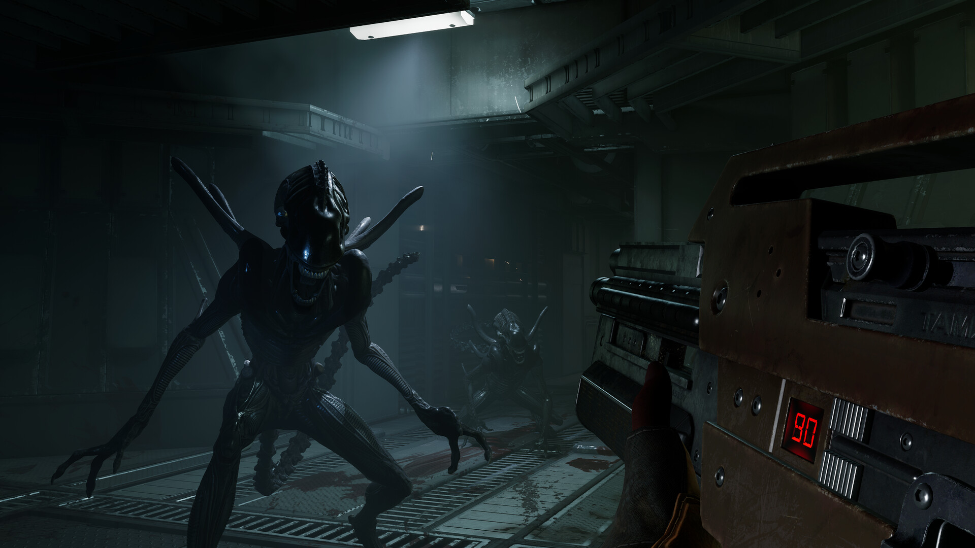 Alien: Rogue Incursion Evolved Edition – Everything You Need to Know About the Game That Will Terrify Us 👽🔥
